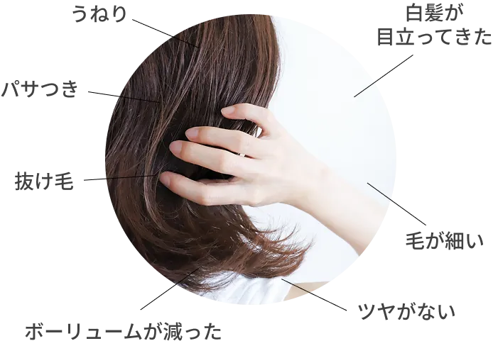 うねり、白髪、パサつき、抜け毛、毛が細い、ツヤがない、ボーリュームが減った